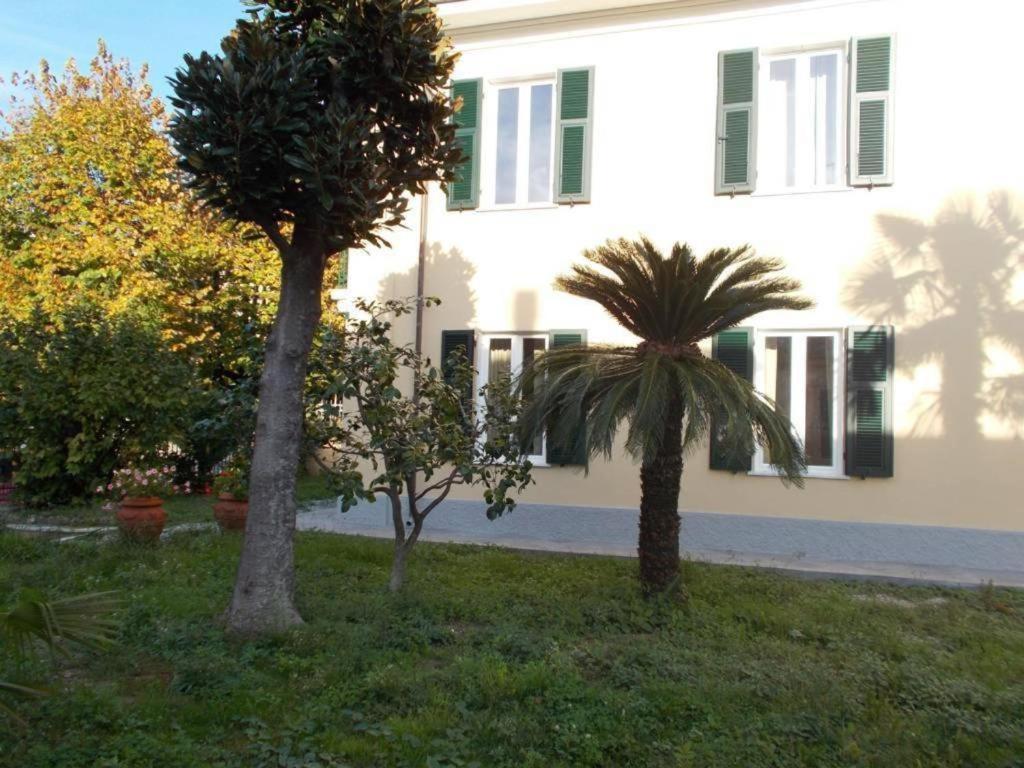 كارارا B&B Rossana المظهر الخارجي الصورة