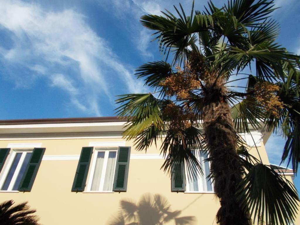 كارارا B&B Rossana المظهر الخارجي الصورة